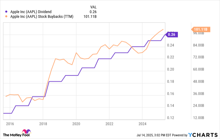 AAPL Dividend Chart